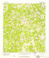 1958 Map of Mount Hermon, Tangipahoa Parish, LA — High-Res | Pastmaps